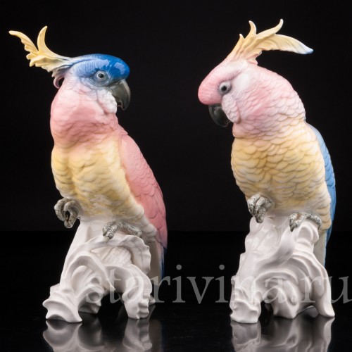 Попугай какаду на кукурузе, Karl Ens, Германия, 1920-30 гг