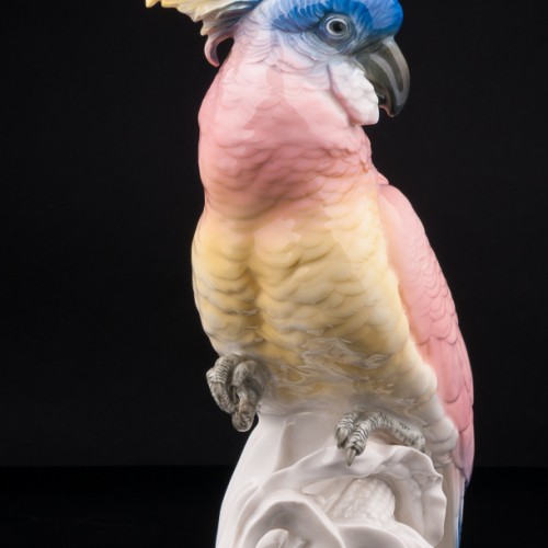 Попугай какаду на кукурузе, Karl Ens, Германия, 1920-30 гг