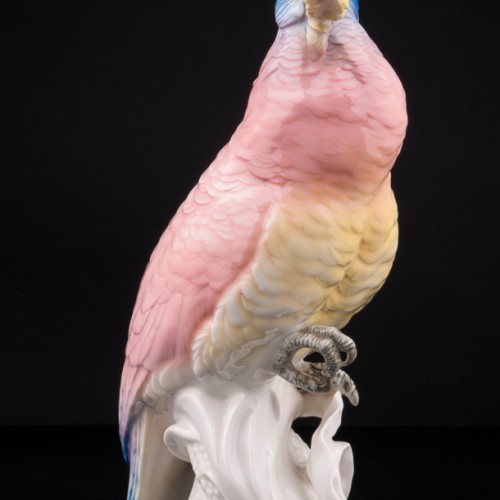 Попугай какаду на кукурузе, Karl Ens, Германия, 1920-30 гг