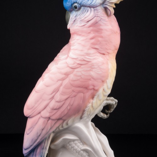 Попугай какаду на кукурузе, Karl Ens, Германия, 1920-30 гг