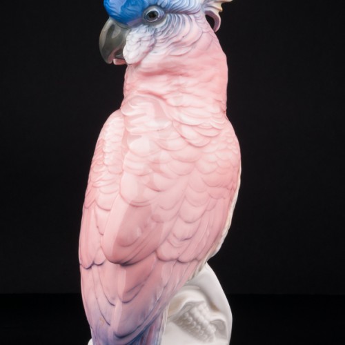 Попугай какаду на кукурузе, Karl Ens, Германия, 1920-30 гг