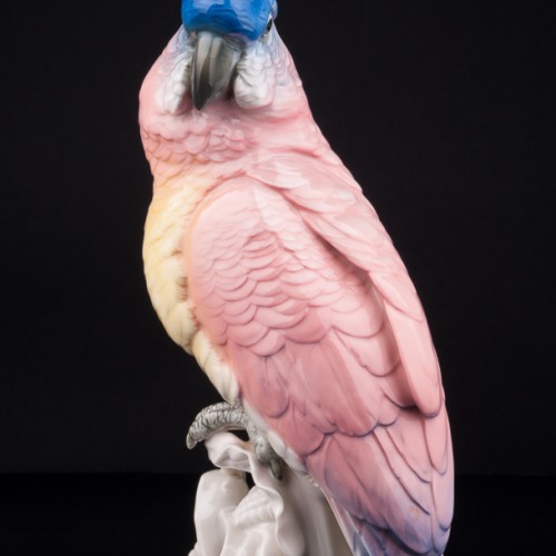 Попугай какаду на кукурузе, Karl Ens, Германия, 1920-30 гг