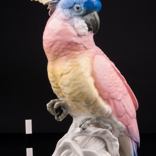 Попугай какаду на кукурузе, Karl Ens, Германия, 1920-30 гг