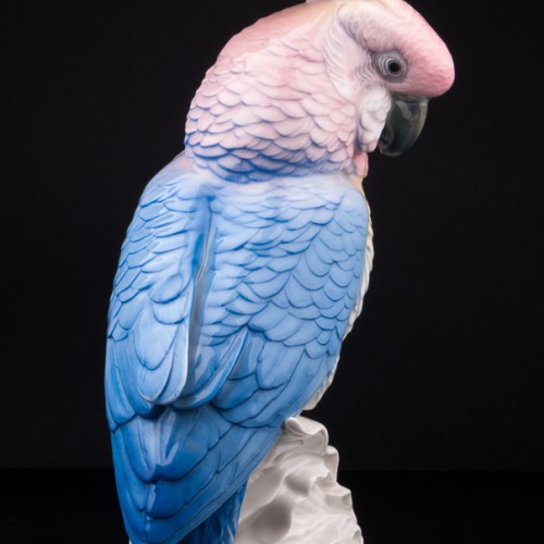 Попугай на кукурузе, Karl Ens, Германия, 1920-30 гг