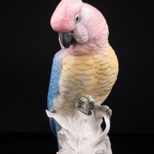 Попугай на кукурузе, Karl Ens, Германия, 1920-30 гг