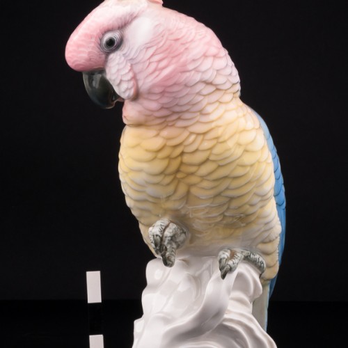 Попугай на кукурузе, Karl Ens, Германия, 1920-30 гг