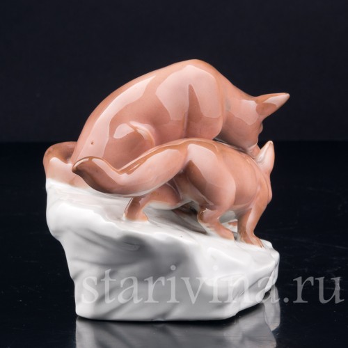 Лисы, Galluba & Hofmann, Германия, 1905-37 гг