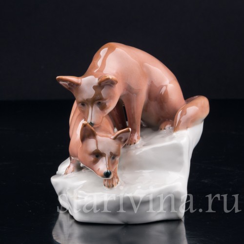 Лисы, Galluba & Hofmann, Германия, 1905-37 гг