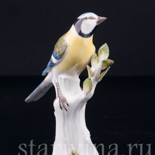 Лазоревка, Meissen, Германия, 1967 г