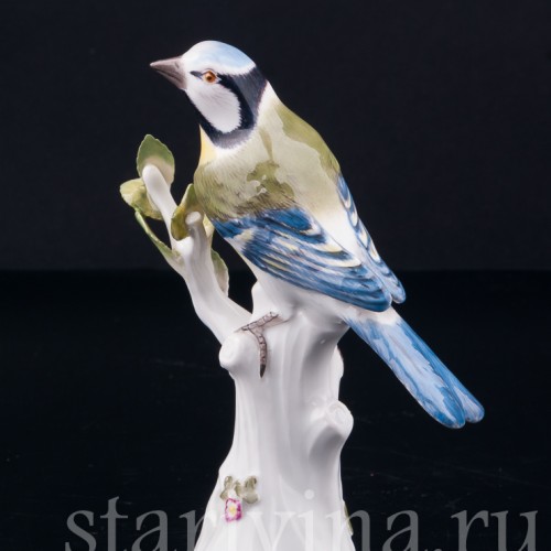 Лазоревка, Meissen, Германия, 1967 г