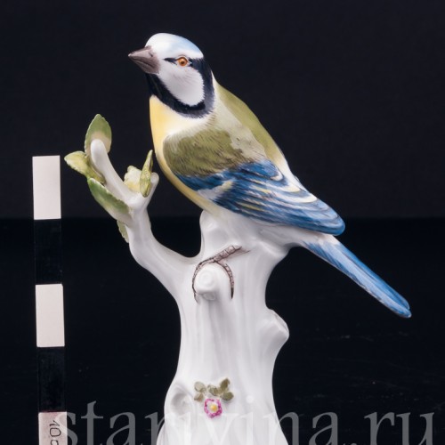 Лазоревка, Meissen, Германия, 1967 г