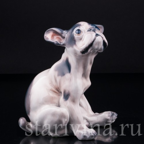 Щенок французского бульдога, Dahl Jensen, Дания, сер. 20 в