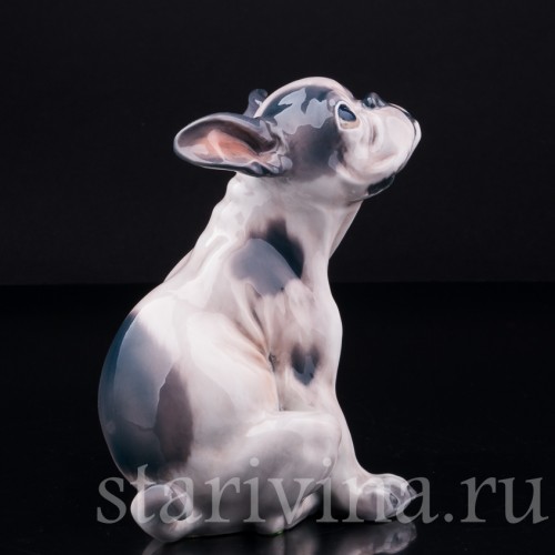 Щенок французского бульдога, Dahl Jensen, Дания, сер. 20 в