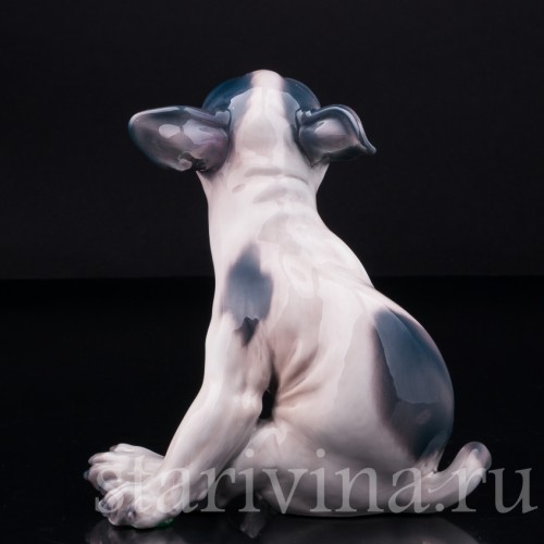 Щенок французского бульдога, Dahl Jensen, Дания, сер. 20 в