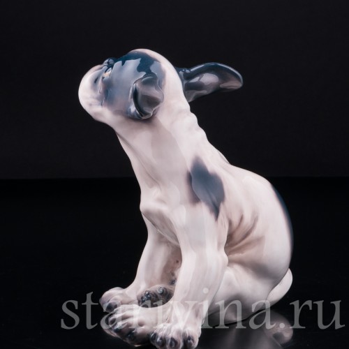 Щенок французского бульдога, Dahl Jensen, Дания, сер. 20 в