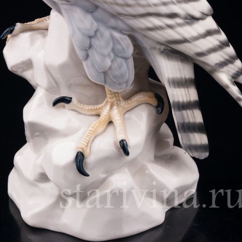 Сокол Кречет, Volkstedt, Германия, кон. 19 - нач. 20 вв