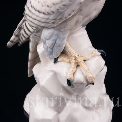 Сокол Кречет, Volkstedt, Германия, кон. 19 - нач. 20 вв