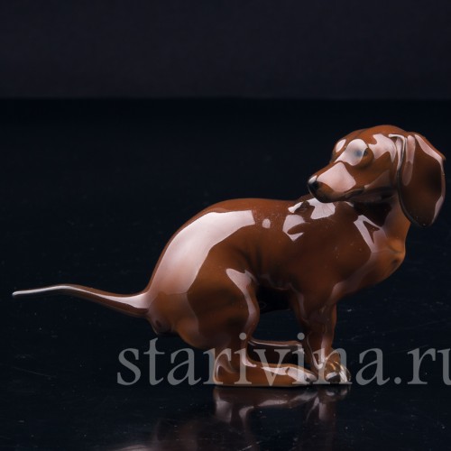 Присевшая такса (какающая такса), миниатюра, Rosenthal, Германия, 1960 гг