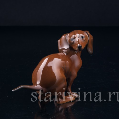 Присевшая такса (какающая такса), миниатюра, Rosenthal, Германия, 1960 гг