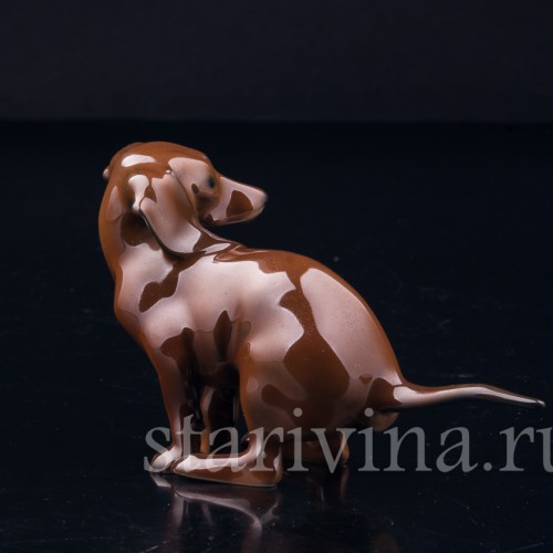 Присевшая такса (какающая такса), миниатюра, Rosenthal, Германия, 1960 гг