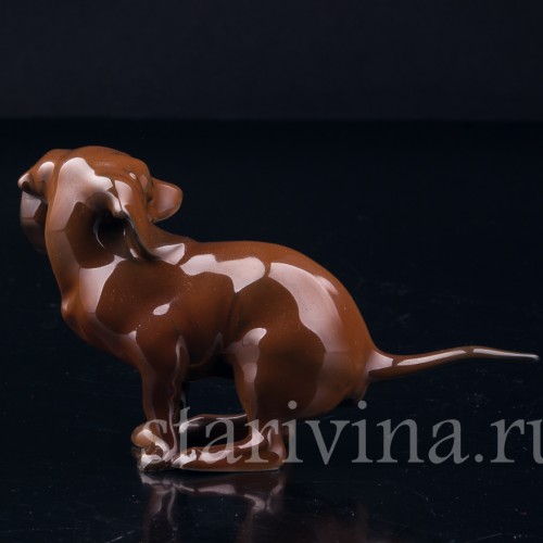 Присевшая такса (какающая такса), миниатюра, Rosenthal, Германия, 1960 гг