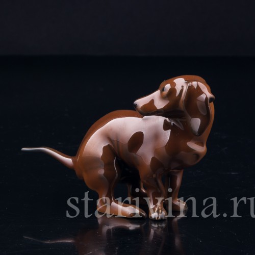 Присевшая такса (какающая такса), миниатюра, Rosenthal, Германия, 1960 гг