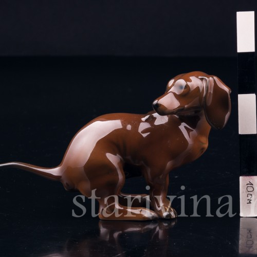 Присевшая такса (какающая такса), миниатюра, Rosenthal, Германия, 1960 гг