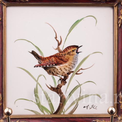 Картина на фарфоре Крапивник, Rosenthal, Германия, сер. 20 в