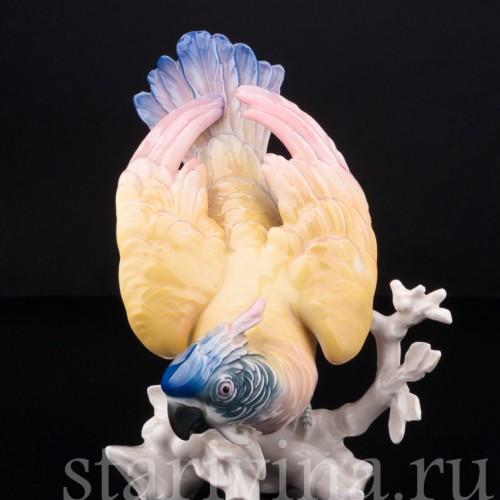 Попугай Какаду, Karl Ens, Германия, 1920-30 гг