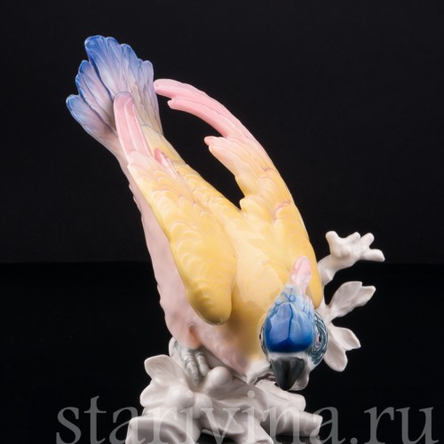 Попугай Какаду, Karl Ens, Германия, 1920-30 гг