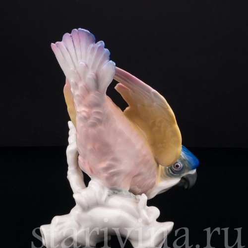 Попугай Какаду, Karl Ens, Германия, 1920-30 гг