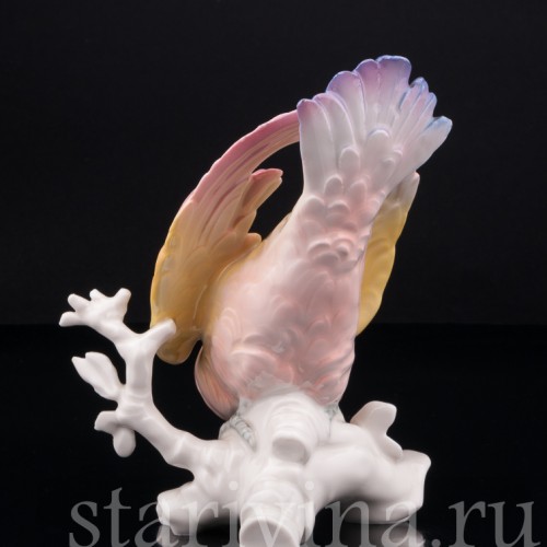 Попугай Какаду, Karl Ens, Германия, 1920-30 гг