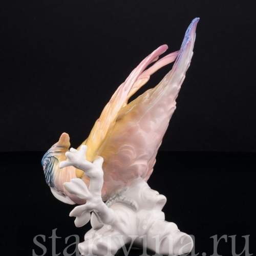 Попугай Какаду, Karl Ens, Германия, 1920-30 гг