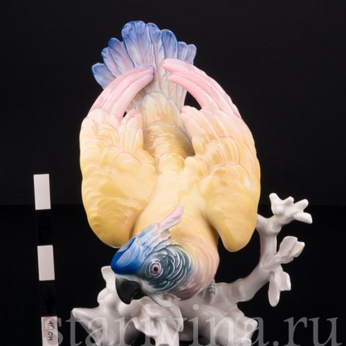 Попугай Какаду, Karl Ens, Германия, 1920-30 гг