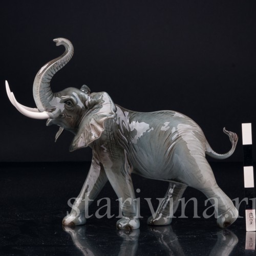 Африканский слон, Goebel, Германия, вт. пол. 20 в