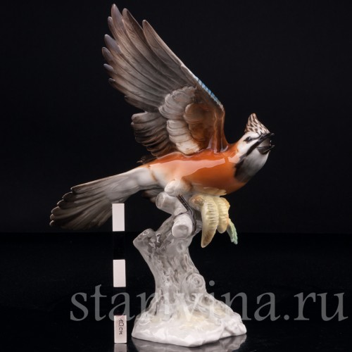 Статуэтка птицы из фарфора Сойка, Hutschenreuther, Германия, 1970 гг.