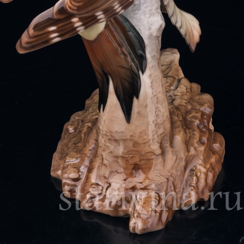 Зеленый дятел на березе, Hutschenreuther, Германия, 1970 гг