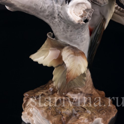 Зеленый дятел на березе, Hutschenreuther, Германия, 1970 гг