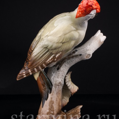 Зеленый дятел на березе, Hutschenreuther, Германия, 1970 гг