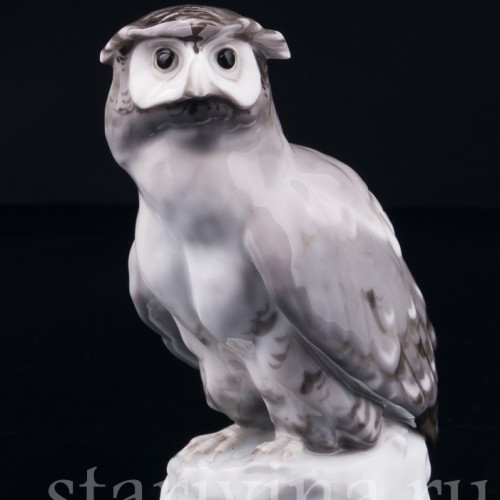 Ушастая сова, Karl Ens, Германия, нач. 20 в