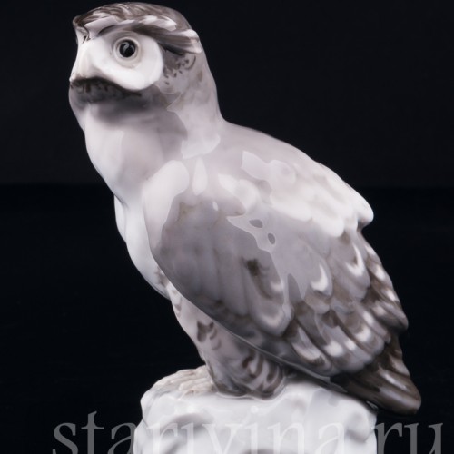 Ушастая сова, Karl Ens, Германия, нач. 20 в