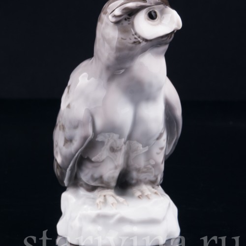 Ушастая сова, Karl Ens, Германия, нач. 20 в