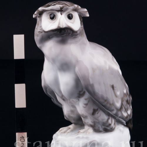 Ушастая сова, Karl Ens, Германия, нач. 20 в