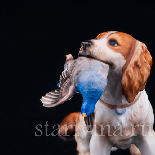 Спаниель с куропаткой, Rosenthal, Германия, 1950 гг