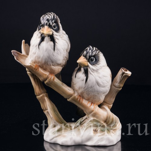 Усатые ткачи на бамбуке, Karl Ens, Германия, вт. пол. 20 в