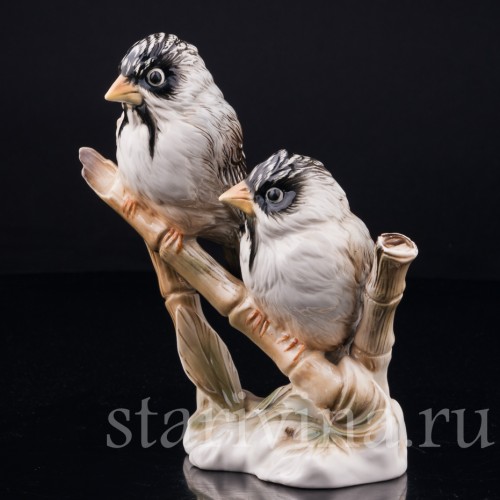 Усатые ткачи на бамбуке, Karl Ens, Германия, вт. пол. 20 в