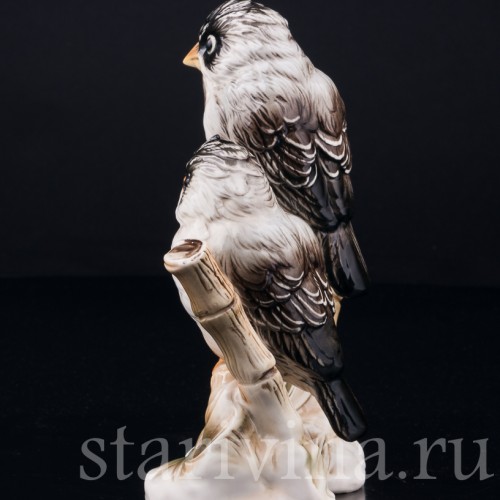 Усатые ткачи на бамбуке, Karl Ens, Германия, вт. пол. 20 в