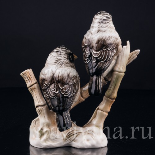 Усатые ткачи на бамбуке, Karl Ens, Германия, вт. пол. 20 в