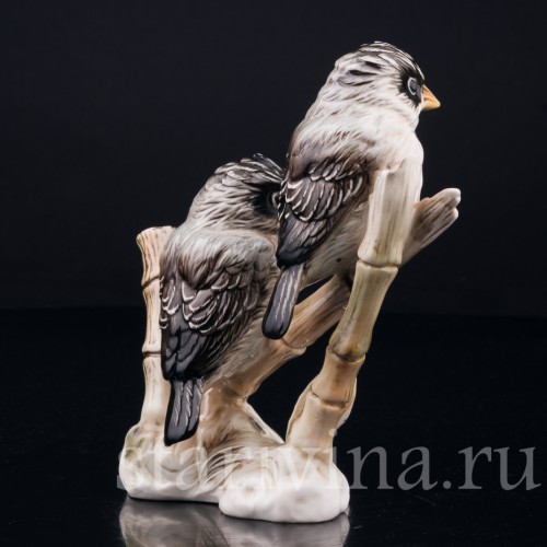 Усатые ткачи на бамбуке, Karl Ens, Германия, вт. пол. 20 в