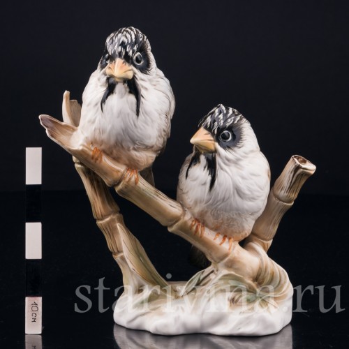 Усатые ткачи на бамбуке, Karl Ens, Германия, вт. пол. 20 в